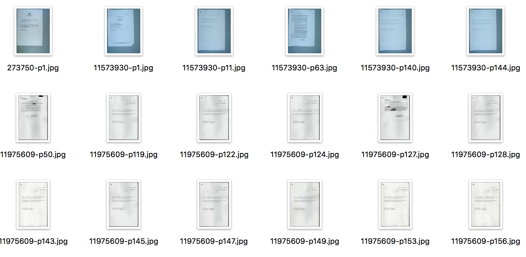 Folder contents